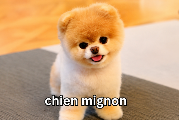 chien mignon