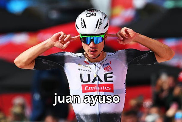 juan ayuso