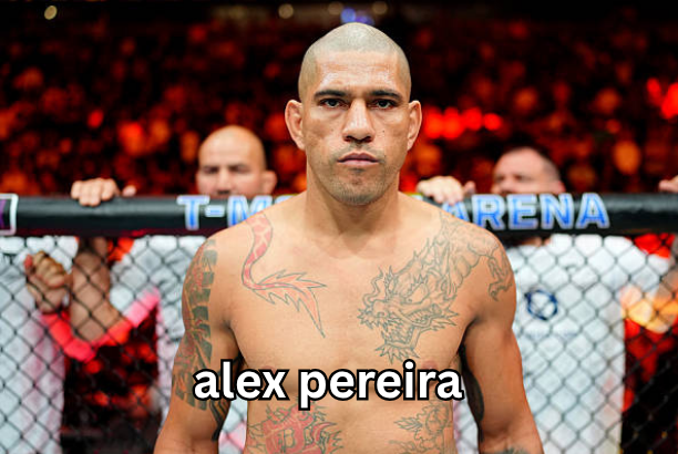 alex pereira