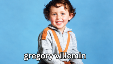 gregory villemin